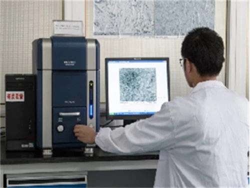 Scanning Electron Microscopy Scanning Electron Microscopy