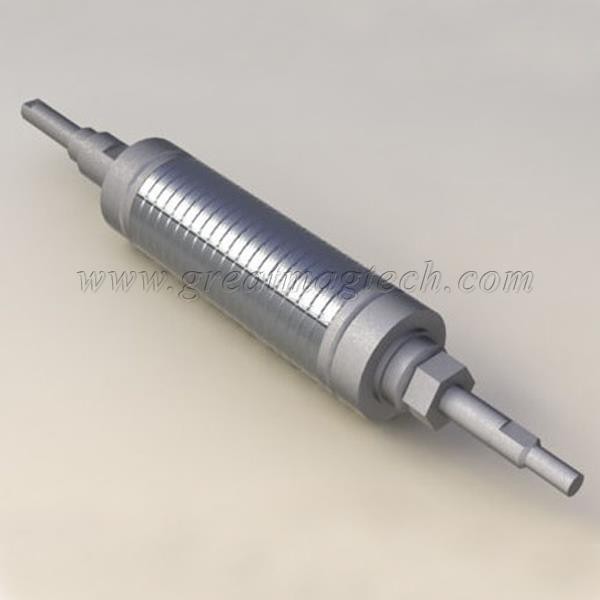 Magnetic Rotor
